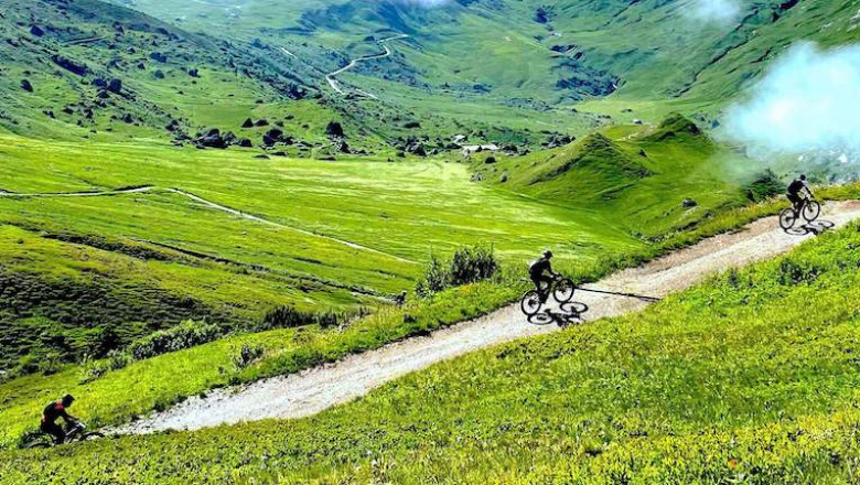 Mountainbike ture i Danmark og Europa – oplev naturen tæt på
