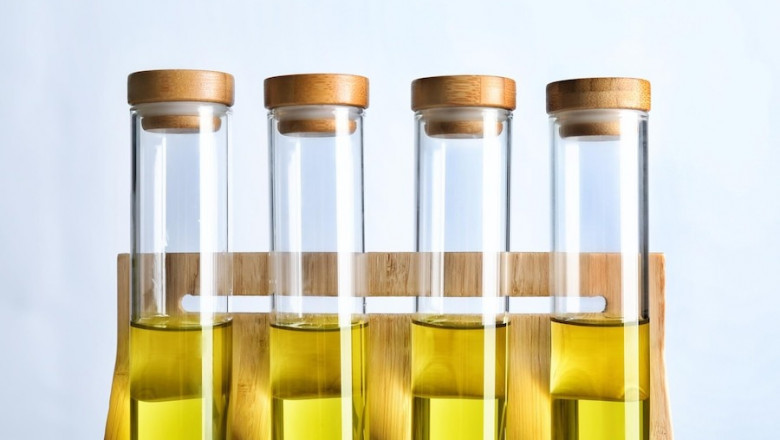 Report on Cost Requirements for Setting Up a Bio-Fuel From Wheat Based Ethanol Manufacturing Plant