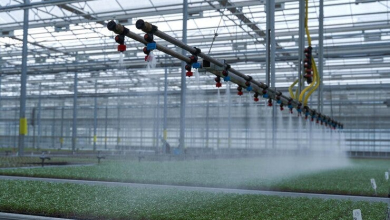 Misting Systems Market Embraces IoT Water Mist Automation