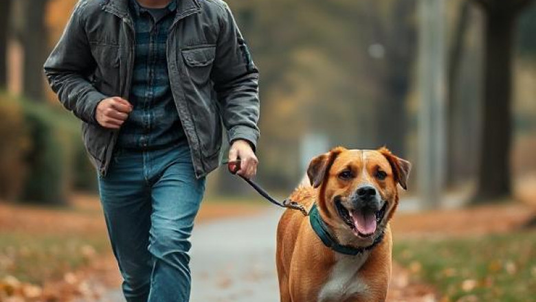 Discover the Best Dog Walking Service in Bellevue