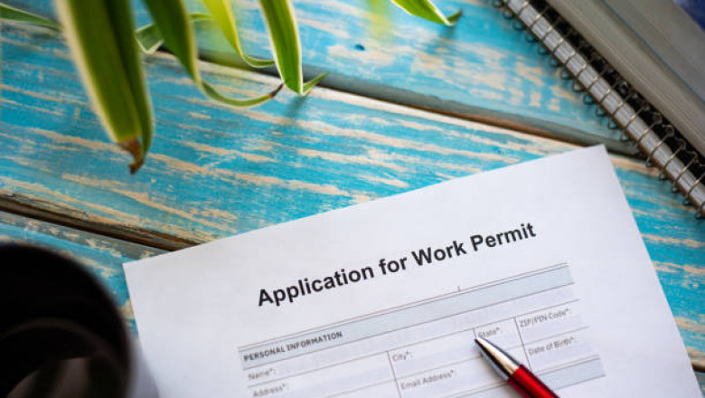 Work Permit in Slovenia: Opportunities and Legal Insights for Foreign Professionals