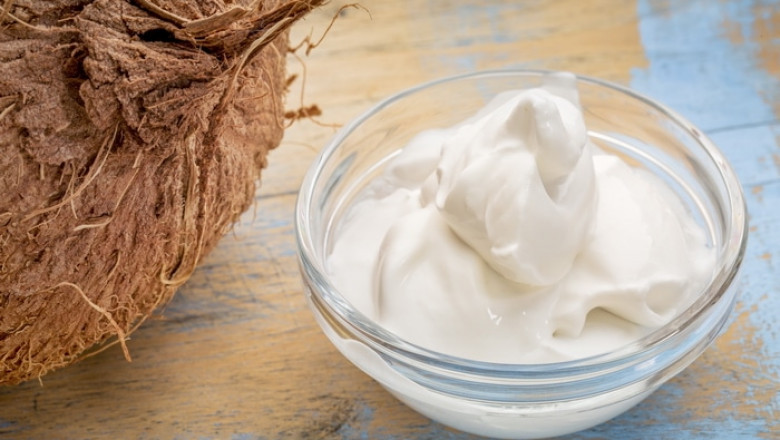 Establishing a Coconut yogurt Manufacturing Plant Report 2025, Project Cost Details