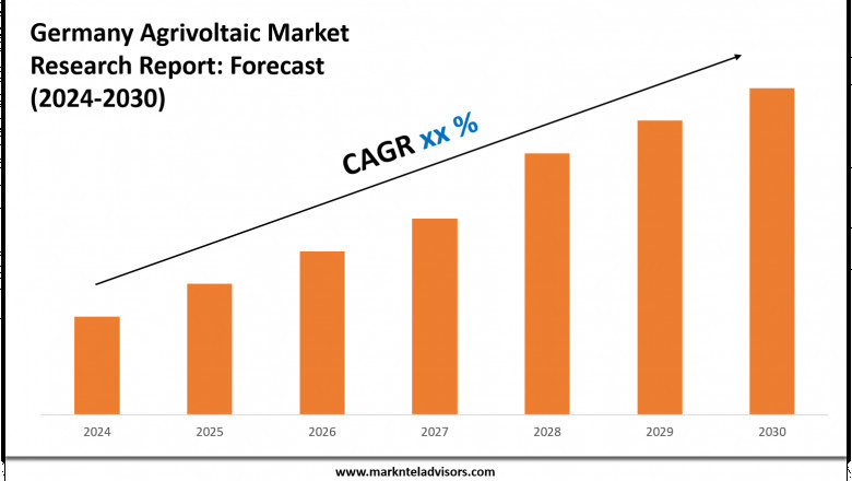 Germany Agrivoltaic Market Report 2024–2030: Size, Share & Forecast