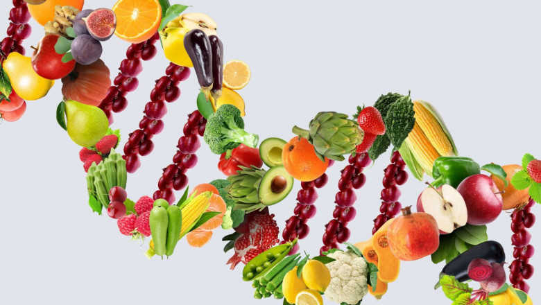 Nutrigenomics Market Size, Trends, and Future Outlook
