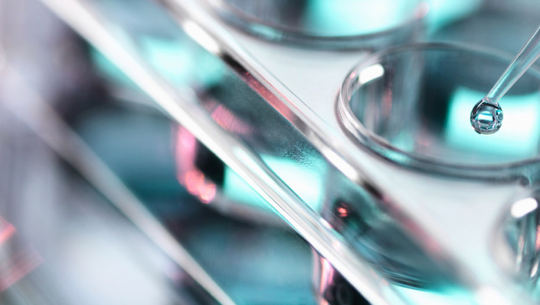 Cell Line Development Serum Market: Size, Share, and Future Outlook
