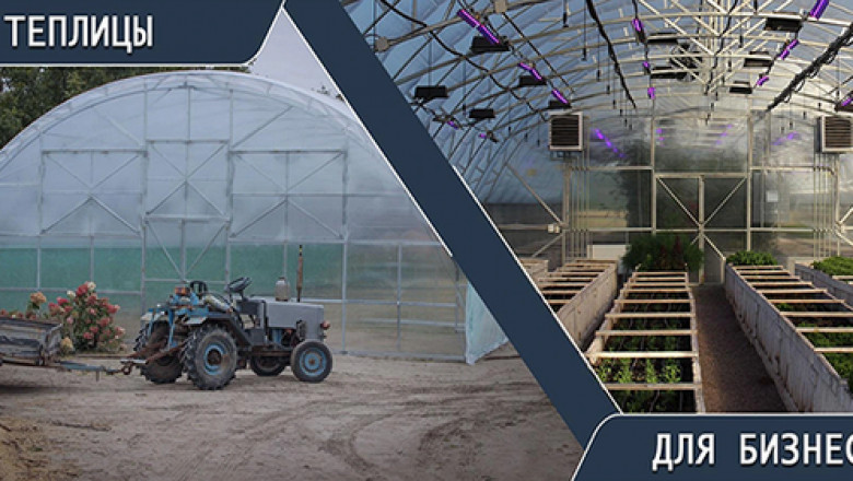 EKO TEPLYTSIA – Quality Greenhouses with Lighting & Heating Solutions