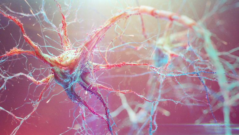 Tonic-clonic Seizure Market Growth Outlook and Key Dynamics