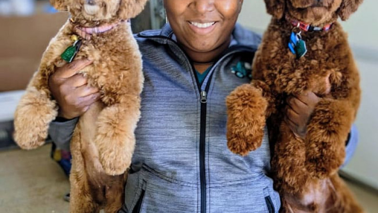Your Pet's Health Matters: Exploring Veterinary Care in Virginia