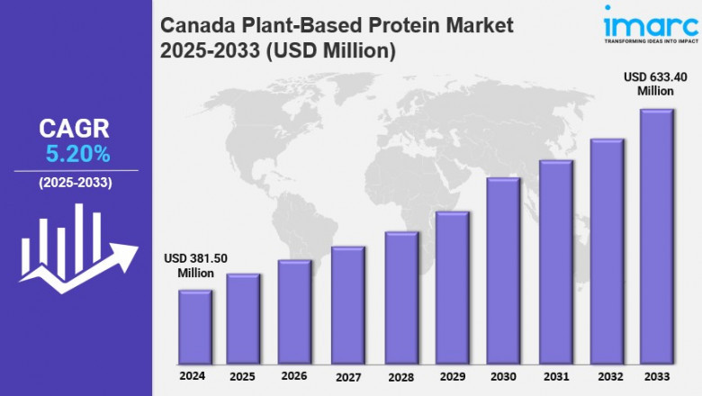 Canada Plant-Based Protein Market Size, Growth, Demand, Trends and Forecast 2025-2033
