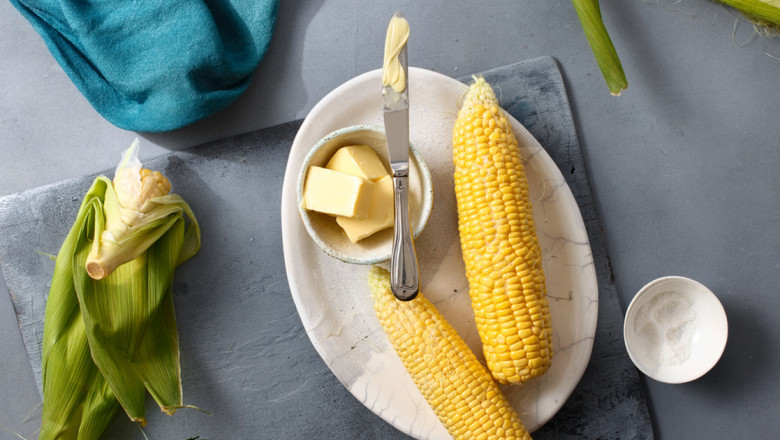 Emerging Corn Fiber Market Poised for Robust Expansion