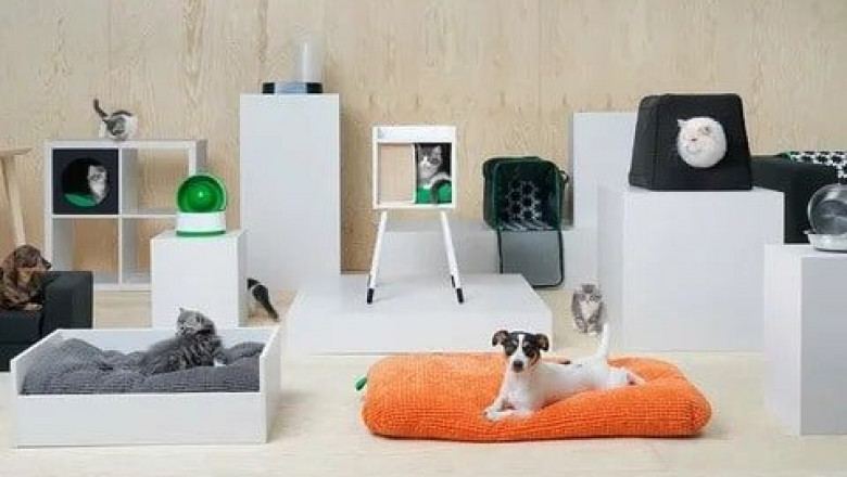 Global Pet Furniture Market Size, Trends, and Growth Outlook 2025-2032